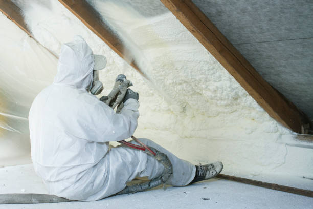 Best Attic Insulation Installation in Aspinwall, PA